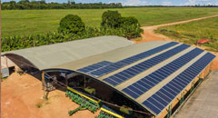 Fazenda Edno Cortezia